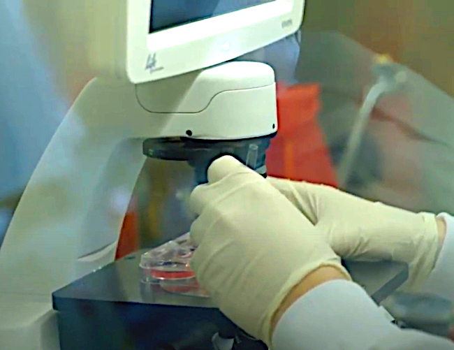 Dr. Gamm's Research Lab