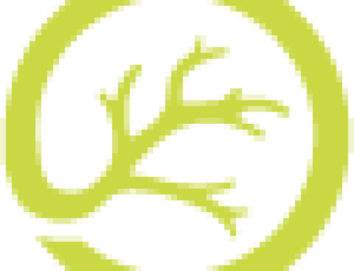 Grant Application Deadline: December 31, 2025 – Choroideremia Research Foundation